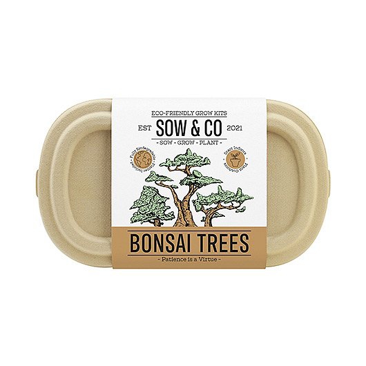 Bydlení a domácnost - Pěstující sada – bonsai